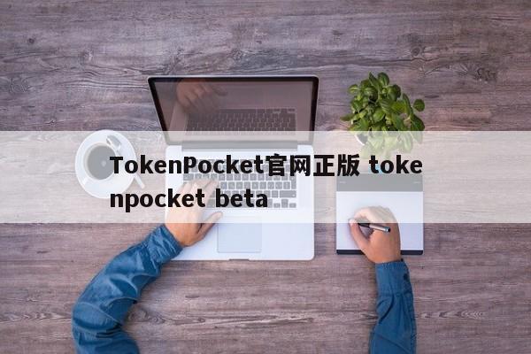 TokenPocket苹果本地下载 tokenpocket苹果版安装教程0次下载